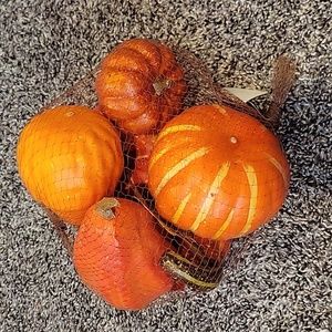 NWT pumpkins 🎃 and gourds